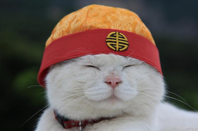 1.27 午评: 算力大崩溃，无需惊慌！