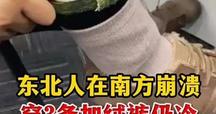 哭笑不得！东北人在南方崩溃：穿3条加绒裤仍冷，网友：还洗澡吗