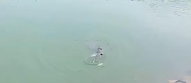 水库|【试钓报告】野钓带上西部风，陌生水库迎战大物！