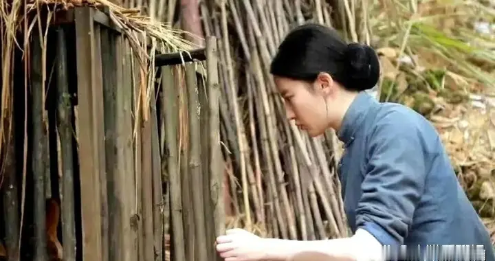 一看刘亦菲就演不了农村妇女，喂鸡是不用追着喂的，懂？
