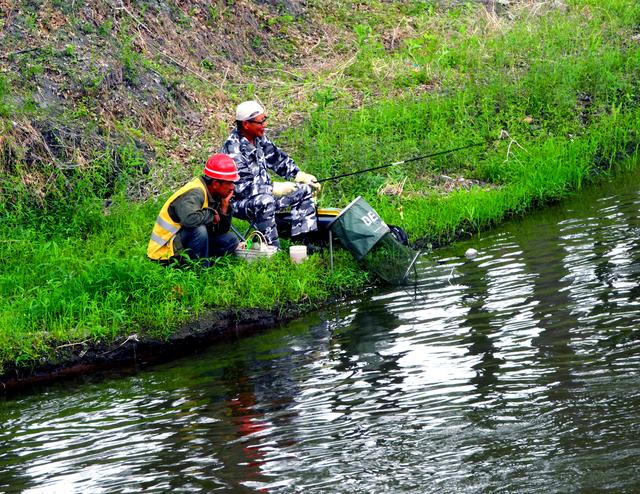 鲇鱼|我再次来到家乡的小河，体会到螺螺肉钓鲇鱼的别样快意
