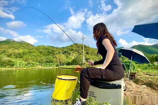 鲫鱼|直播钓鱼是如何作弊的？钓鱼主播们的常用作弊方法