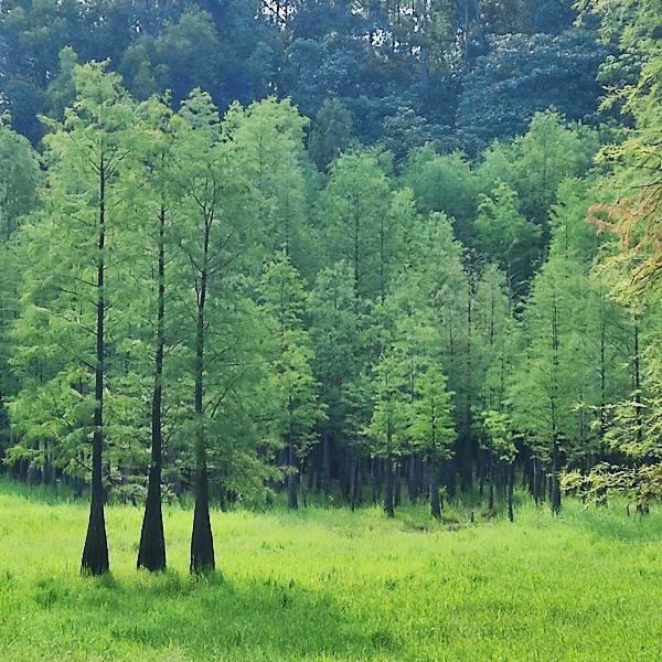 高校|现在的高知就业压力真不小