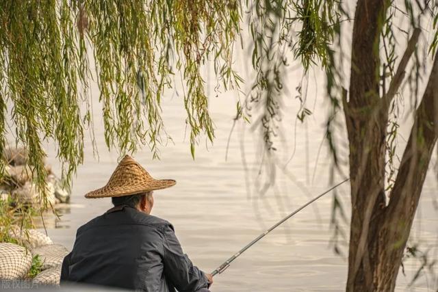 鲤鱼|春季阴雨绵绵的天气，该怎么选择有效的出钓时机？