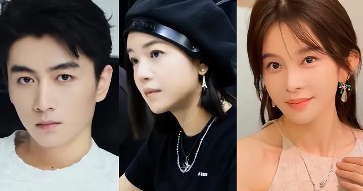 离婚仅1年，这次高调示爱陈晓的赵樱子，没给陈妍希留一丝体面