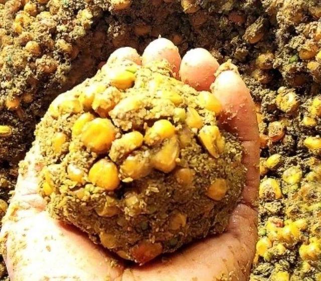 空军|经常空军？换一个打窝钓鱼的时间和方法，你将不再空军