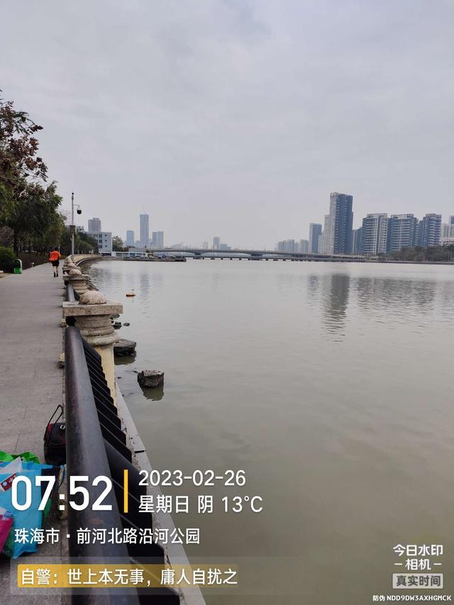 饵料|【无双鲤东丽线组】阴冷清晨水口作钓，惊喜连连