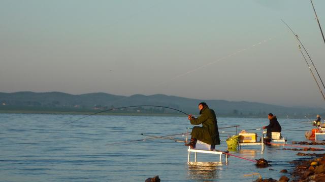 水库|东北地区的鱼儿都躲在哪里了？