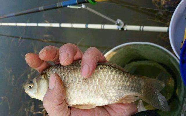 船钓|春季应该在什么天气出钓？