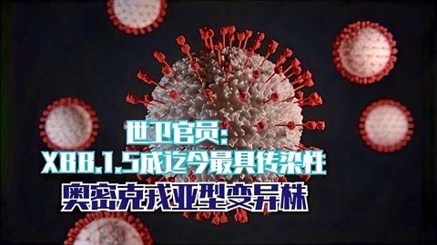新的Omicron变种XBB.1.5 对德国意味着什么