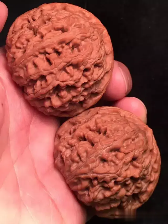 文玩核桃的辨识成熟度