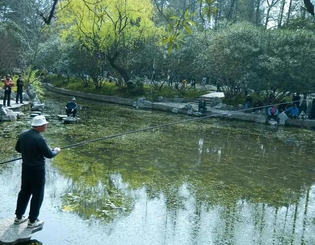 |春天不常用的戳钓，却是野钓鲫鱼“杀手锏”，大板鲫接连被钓起