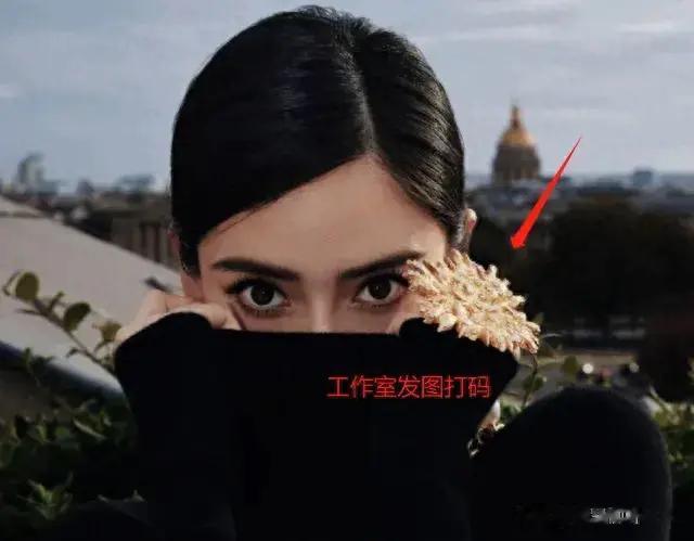 Angelababy要凉了！被曝与Lisa同属一个组织，央视直接删其资料