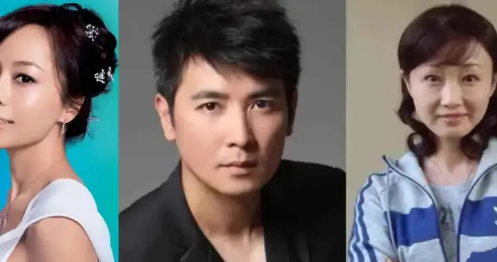 黄慧颐没想到，自己“不要”的保剑锋，如今在何珈好手上闪闪发光