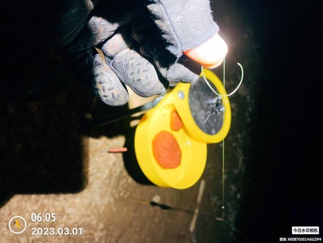 夜钓|三月首钓妖风作乱，钓获“十全十美”！