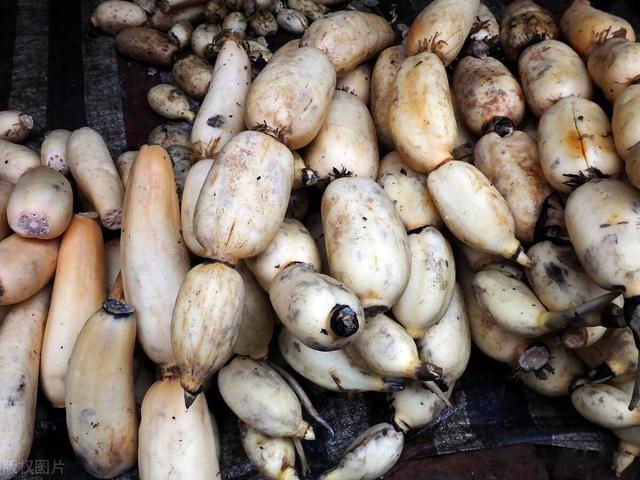 买莲藕时，“粉藕”和“脆藕”咋辨别？藕农：牢记这3点，不会错