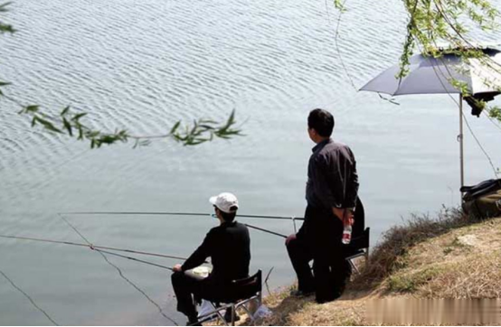 饵料|伏天野钓打窝攻略：教你轻松诱大鱼，窝里鱼多的钓不完