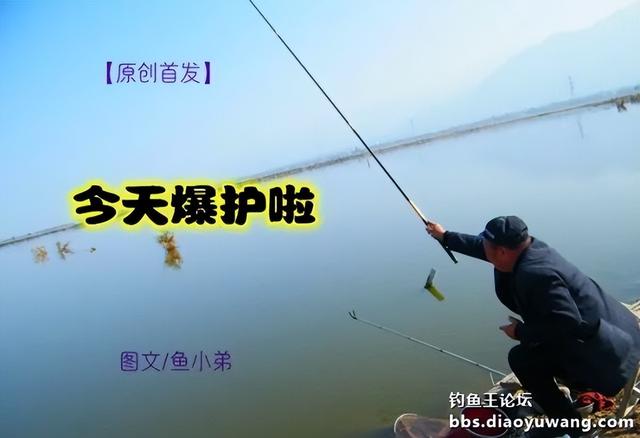 |今天爆护啦