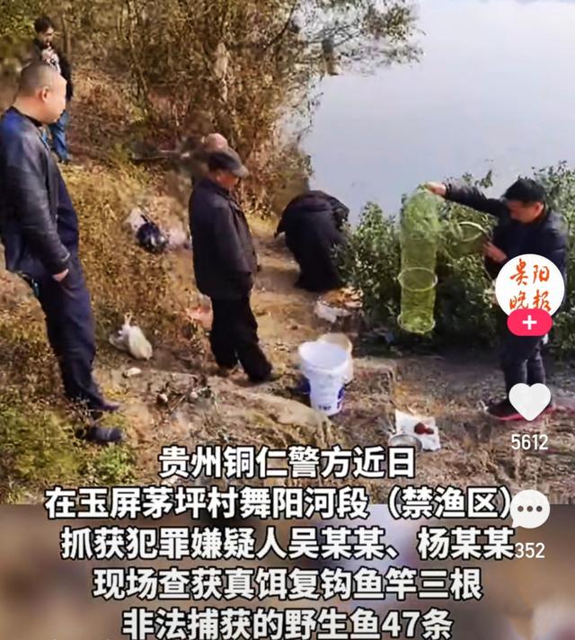 禁钓区域钓获47条麦穗鱼被抓，还要面临处罚，钓友都替他们求情