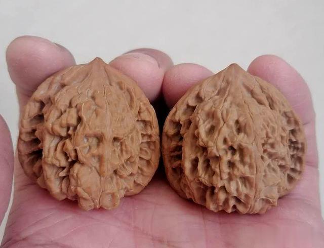 文玩核桃|100种文玩核桃品种分享之78：雾灵山狮子头