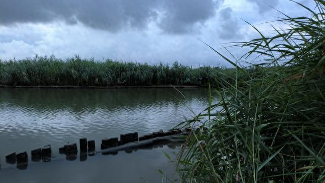 【试钓报告】野钓圣地起风波，甜薯|草霸狂连杆！