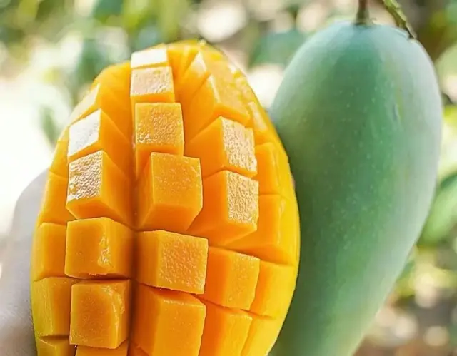 芒果介绍，这一篇足矣。