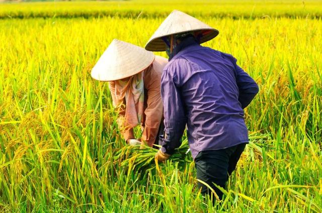 经济再差，也不会淘汰的10个职业