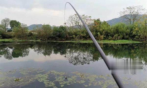 鲫鱼|冬季野钓鲫鱼，换种打窝思路有“奇效”，没想到鱼口不断