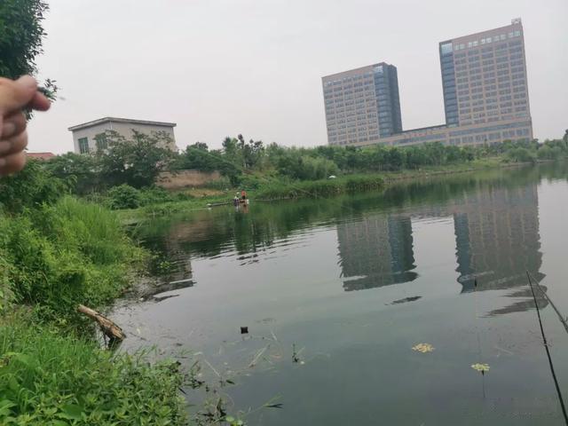 鲫鱼|浮钓鲫鱼的两大前提！不是鱼起浮就可以钓浮的，净瞎折腾！