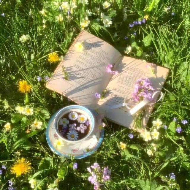 7月7号起，钱财滚滚来，恋爱运势飙升，命中注定要逆袭的四大星座