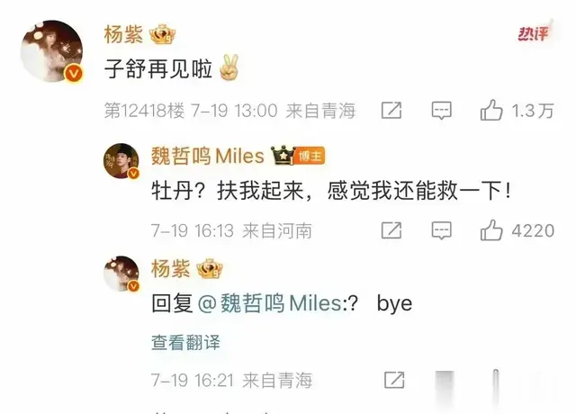 杨紫被魏哲鸣整懵！前夫哥 霸屏微博评论，这对 CP 我站 “相爱相杀”