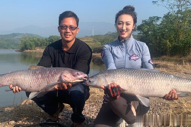 饵料|如何钓巨青？用什么鱼饵？钓巨青的4个要点