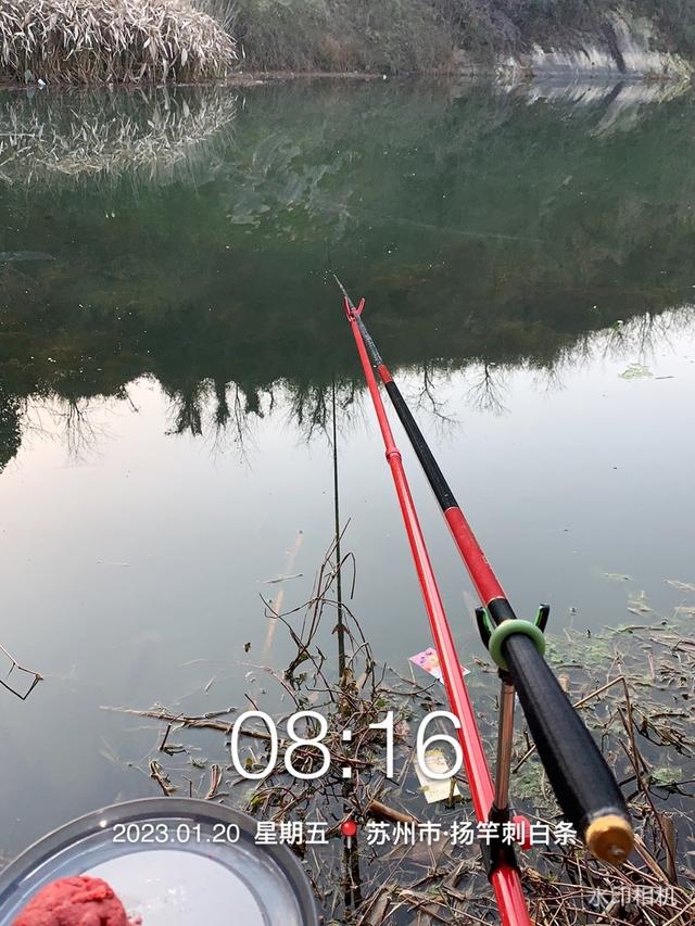 |鱼情泛滥，一不小心钓了三个大头鱼，请问该怎么吃？