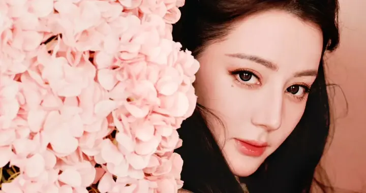 成毅 迪丽热巴 杨幂 丁禹兮 杨紫 肖战 王星越 胡歌 张康乐 李兰迪 曾舜晞