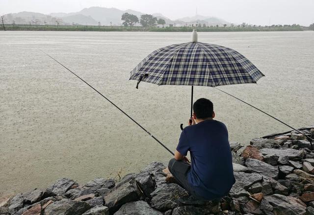 夏天雨季钓鱼必备攻略，出钓时机、钓位轻松选择！鱼获更多！