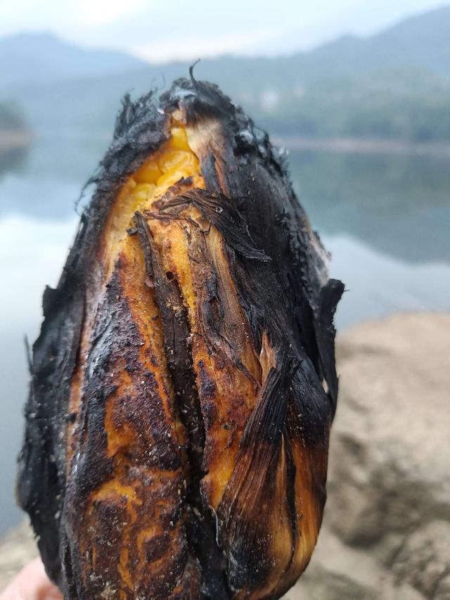 |天天收获渔满仓，一起感受山水间的奇妙之旅