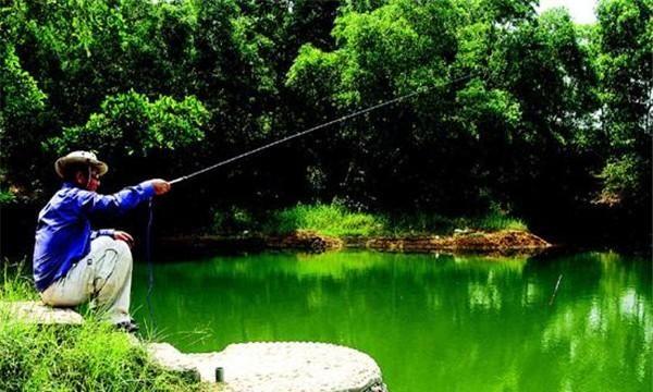 鲫鱼|初春钓鲫鱼，如何选择合适钓点？