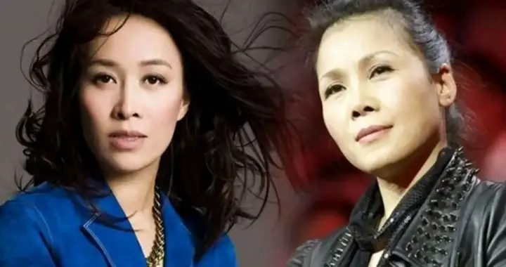 那英没想到，自己的同门师姐田震，如今竟也走上了和刀郎一样的路