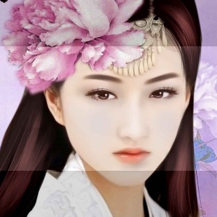 2万粉丝中国襄阳公主1.8万粉丝那点旧回念1粉丝波波姐5205.