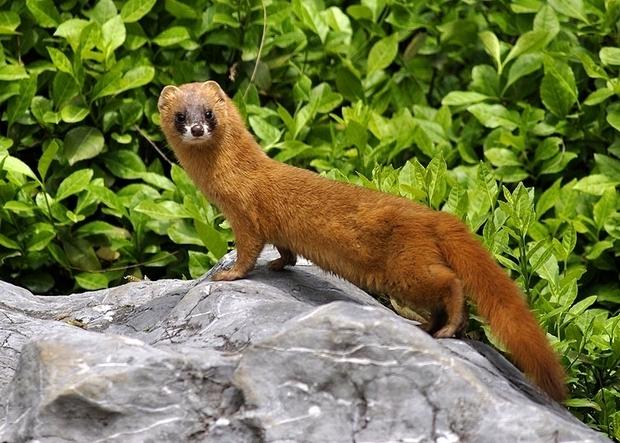 原来是这个原因!_河南省南阳市唐河县张店镇同堂村-村网通