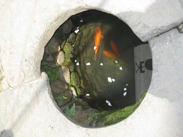 男子去乡下探亲, 却发现村里每户人家的井里都很奇怪