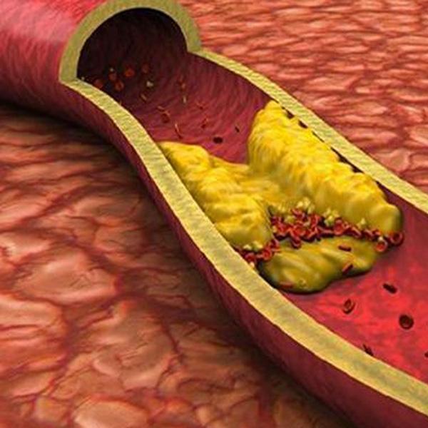 清早水中加几粒清除血液垃圾没问题排出宿便更是好得出奇