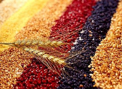 幼儿食物选择 1.粮谷类     进入幼儿