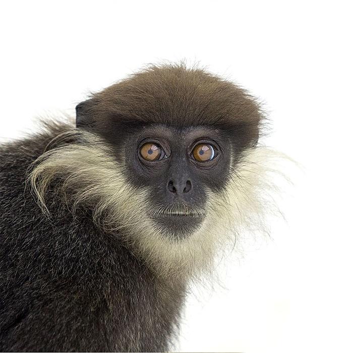 求职|未来专业人才需求预测,写在高考前。