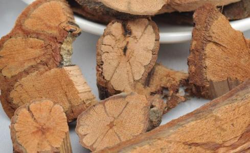 山上这种药材叫九龙藤又称千年不老藤治胃十二指肠溃疡