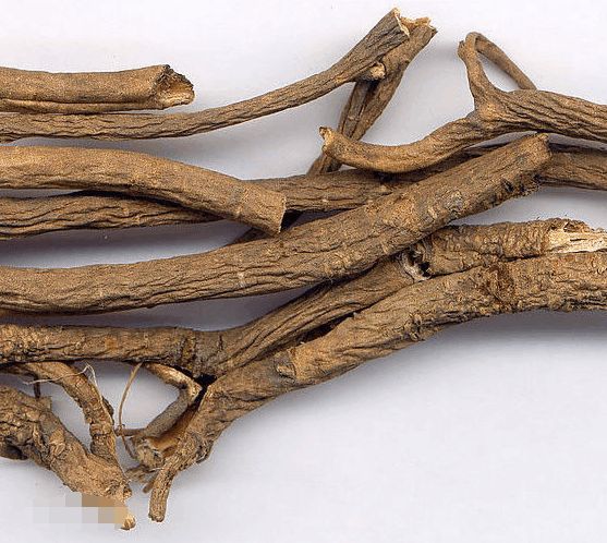 老中医告诉你一种可泡酒的树皮用于祛风湿补肝肾强筋骨等作用