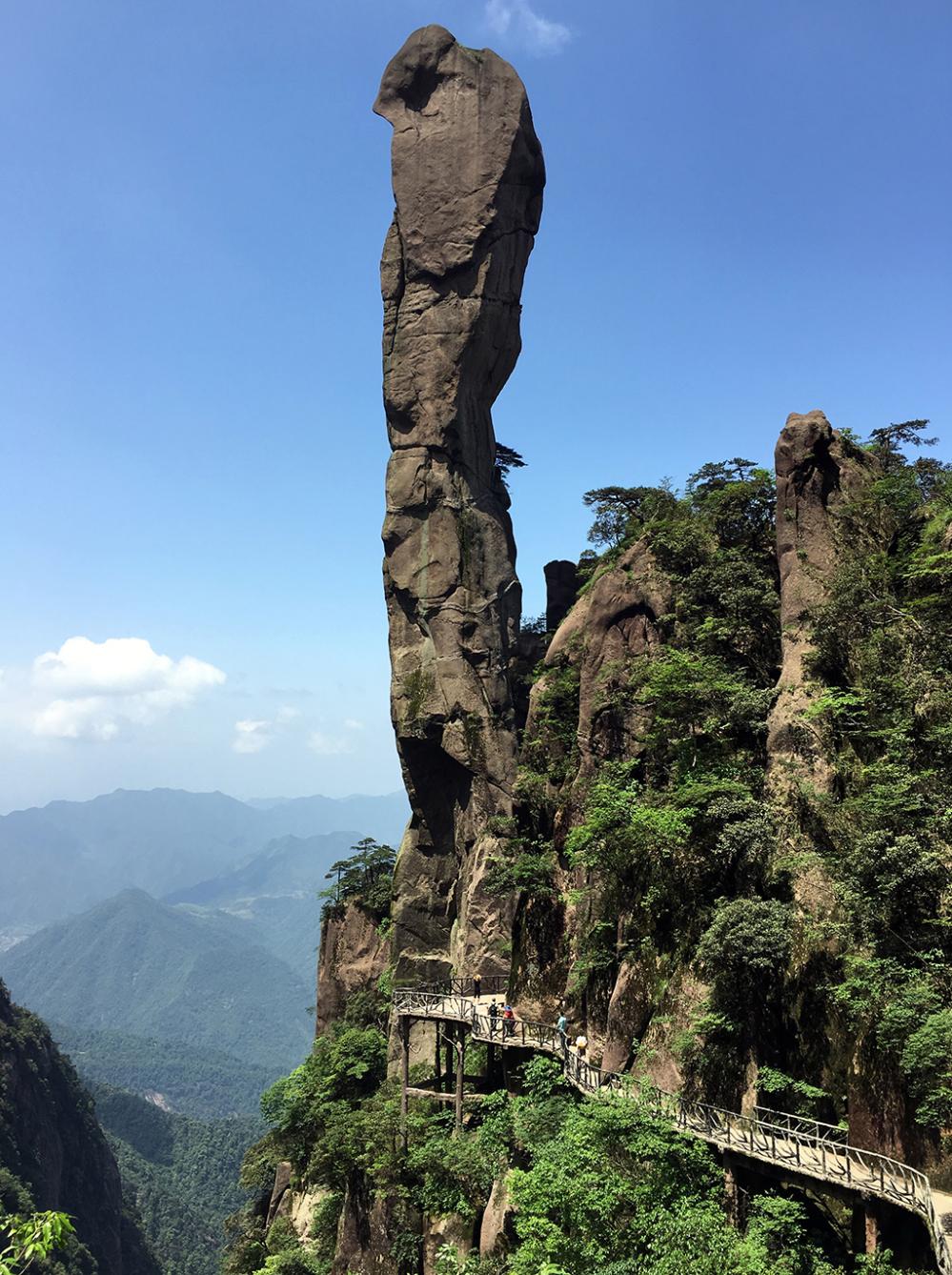 三清山松筠不锁神仙境看遍漫山杜鹃红