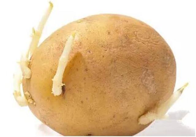 孕期, 孕妇不能吃的八种食物, 严重的会引起中毒!