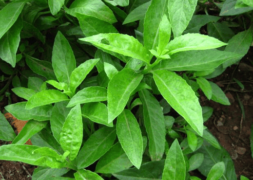 不管男女, 从放屁这件小事, 就能看出你的身体状况