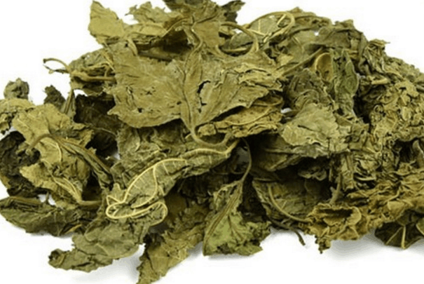 桑叶中黄酮类化合物占桑叶干重的1%~3%,主要成分芦丁,槲皮素,异槲皮苷